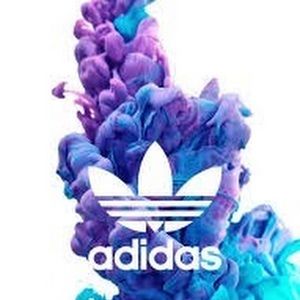 Meet your Posher, Avery